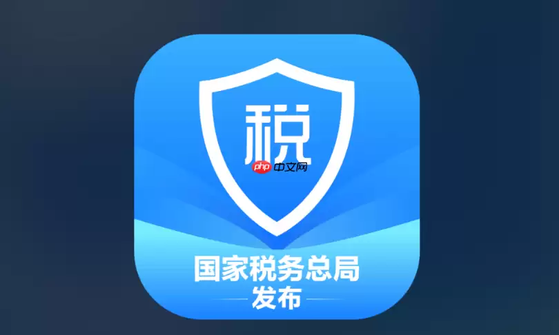 个人所得税经营所得纳税申报表A表在哪里报_线上与线下A表申报渠道指引