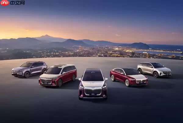 岚图港股上市获关键批准 东风集团私有化进入最后阶段