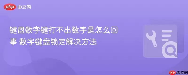 键盘数字键打不出数字是怎么回事+数字键盘锁定解决方法