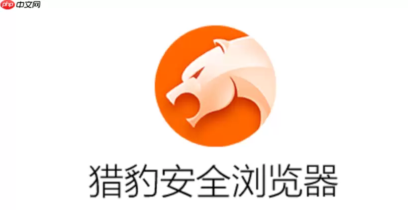 猎豹浏览器手机版网页入口 猎豹浏览器移动端便捷访问