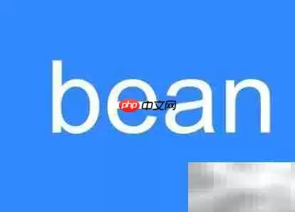 Bean的英文含义解析