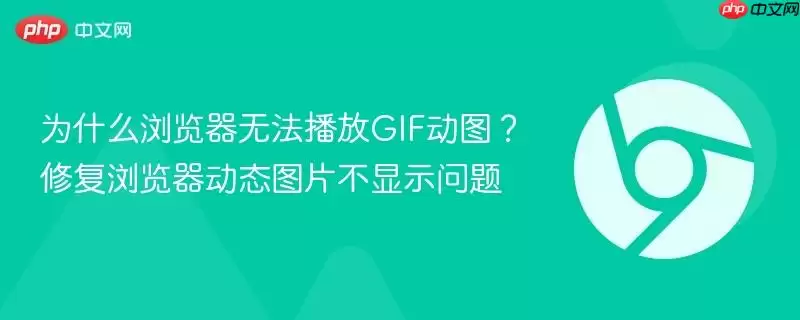 为什么浏览器无法播放GIF动图?修复浏览器动态图片不显示问题