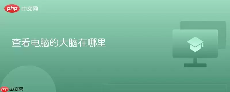 查看电脑的大脑在哪里