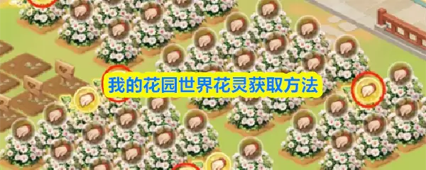 我的花园世界花灵获取方法