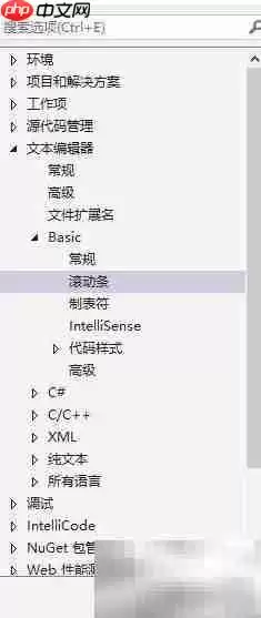 VS2019 Basic更改显示方法
