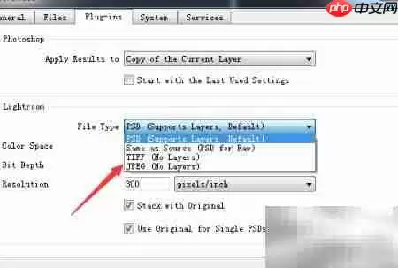 ON1 Resize 2019设置JPEG方法