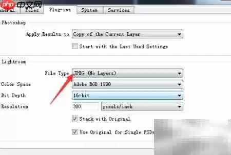 ON1 Resize 2019设置JPEG方法