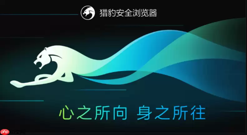 猎豹浏览器免安装网页版 猎豹浏览器在线云端使用入口