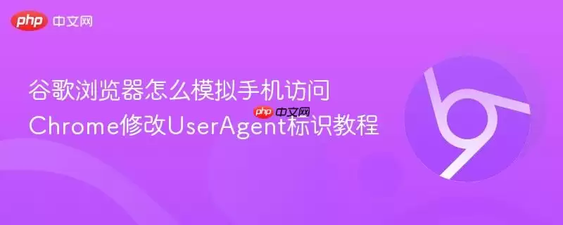 谷歌浏览器怎么模拟手机访问 Chrome修改UserAgent标识教程