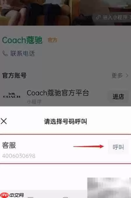 Coach序列号查询指南