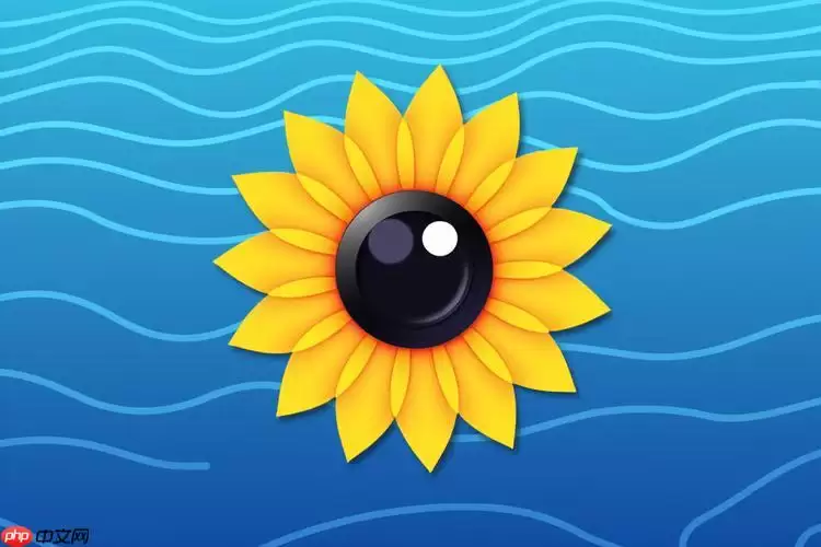 向日葵客户端如何进行远程iOS控制_向日葵客户端远程iOS控制操作教程