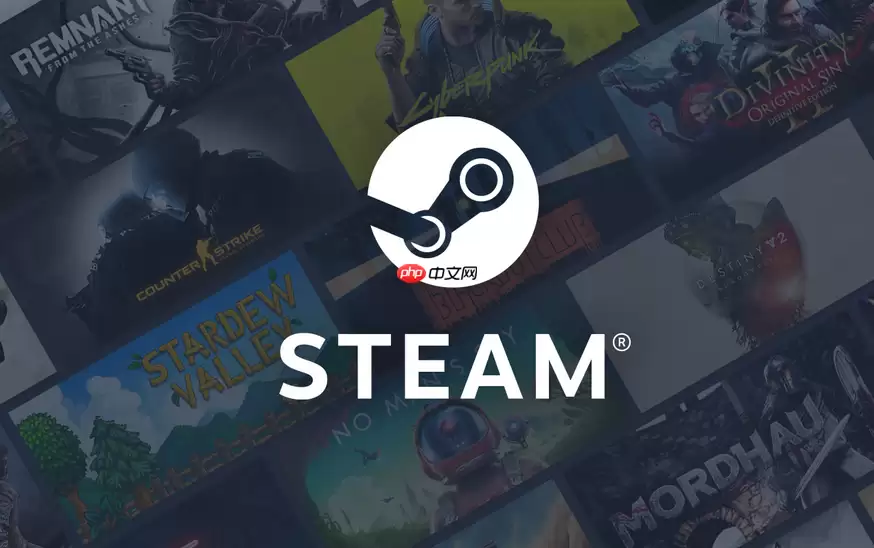 steam正式平台通道 steam游戏激活与启动