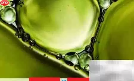 Quicker动作录制教程