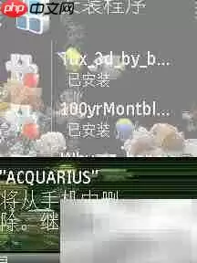 诺基亚N97主题安装删除指南