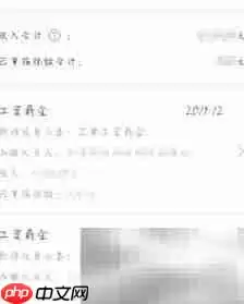 个税APP查工资记录指南