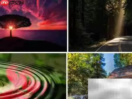 免费下载高清图片全攻略