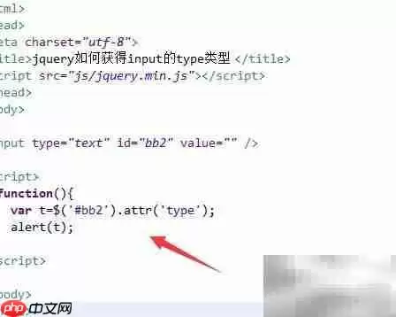 jQuery获取input的type类型方法