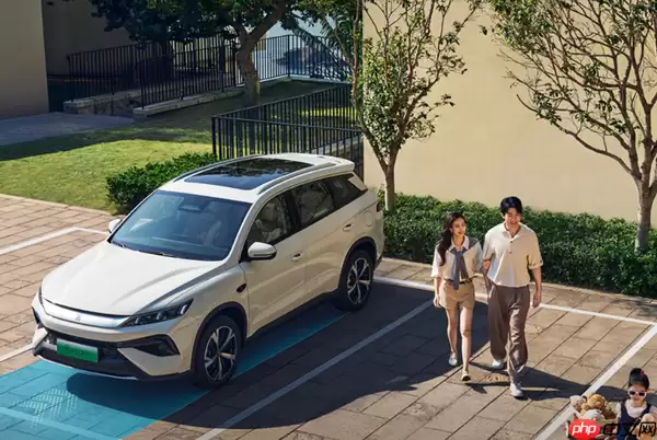 全球新能源车型最新销量排名来了