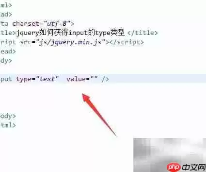 jQuery获取input的type类型方法