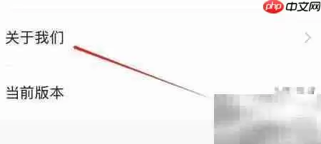 迅宝查看关于我们指南