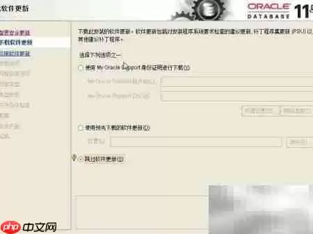 Oracle企业版安装指南
