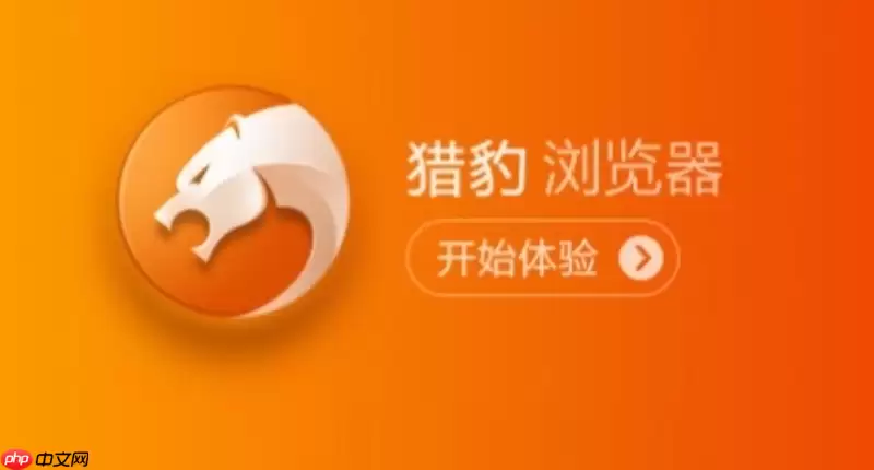 猎豹浏览器PC端游戏 猎豹浏览器在线浏览入口