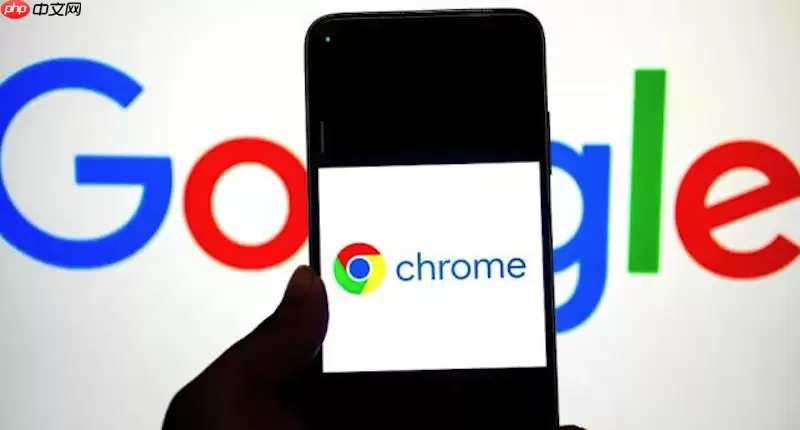 Chrome浏览器手机版正式入口 谷歌浏览器移动端最新下载地址