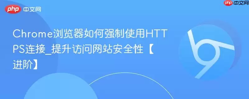Chrome浏览器如何强制使用HTTPS连接_提升访问 安全性【进阶】