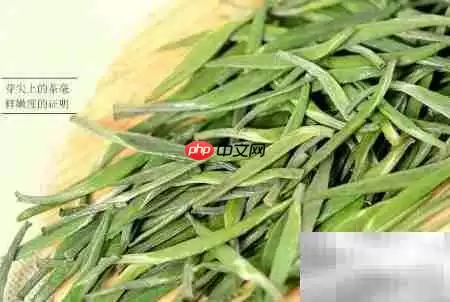 茶叶分类全解析