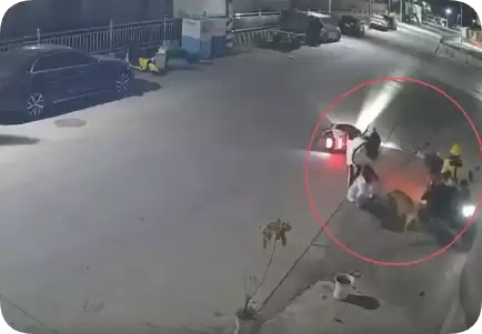 两女子骑车遭遇犬只追逐撕咬 外卖小哥出手相助驱赶 官方通报:犬主人被拘留