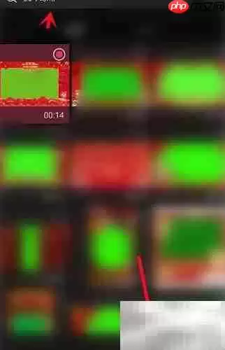 虎年视频制作技巧