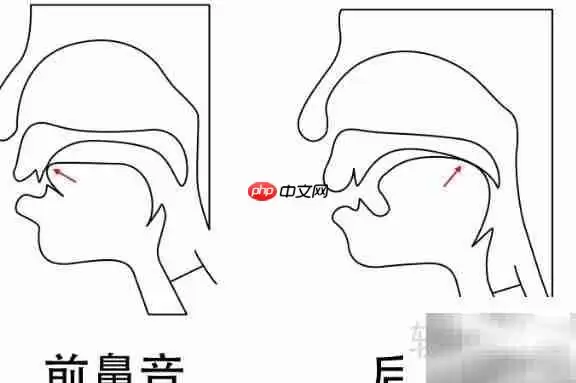 前鼻音韵母有哪些？