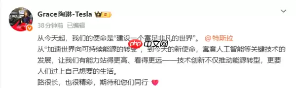 特斯拉副总裁回应新使命：要人们过上自己想要的生活