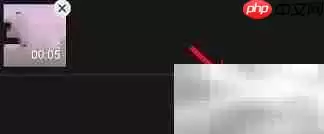 虎年视频制作技巧