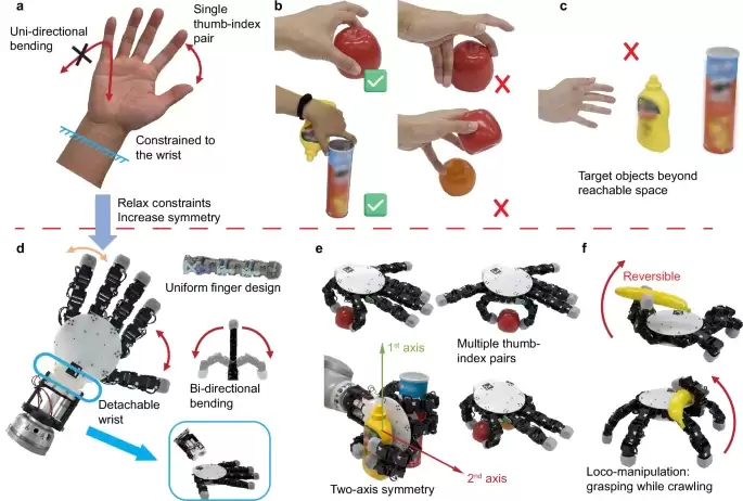 瑞士团队研发双面抓握+自主爬行新型机械手