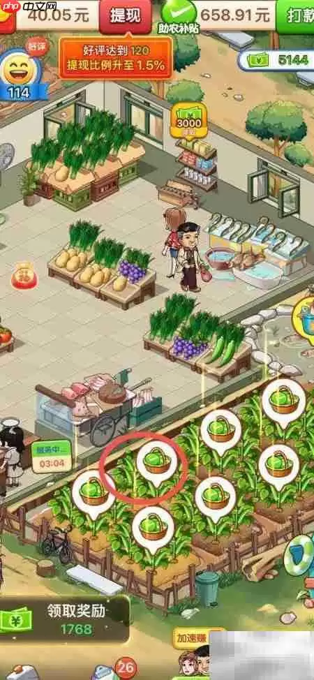 3号地用荒漠土种出理想农院