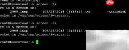 Screen快速入门：SSH会话管理