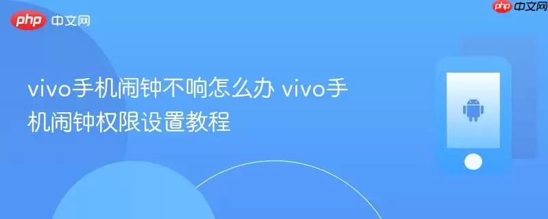 vivo手机闹钟不响怎么办 vivo手机闹钟权限设置教程