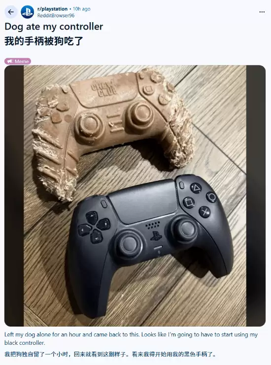 宠物狗啃游戏手柄?实为仿制磨牙玩具引热议