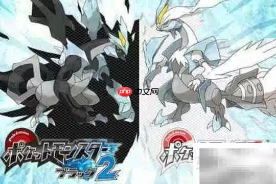 宠物小精灵黑2白2差异解析