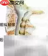 晒太阳防颈椎病?真相揭秘