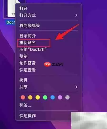 RTF转Word:快速转换技巧