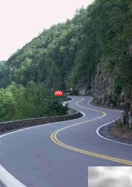 公路运输行业投资前景解析