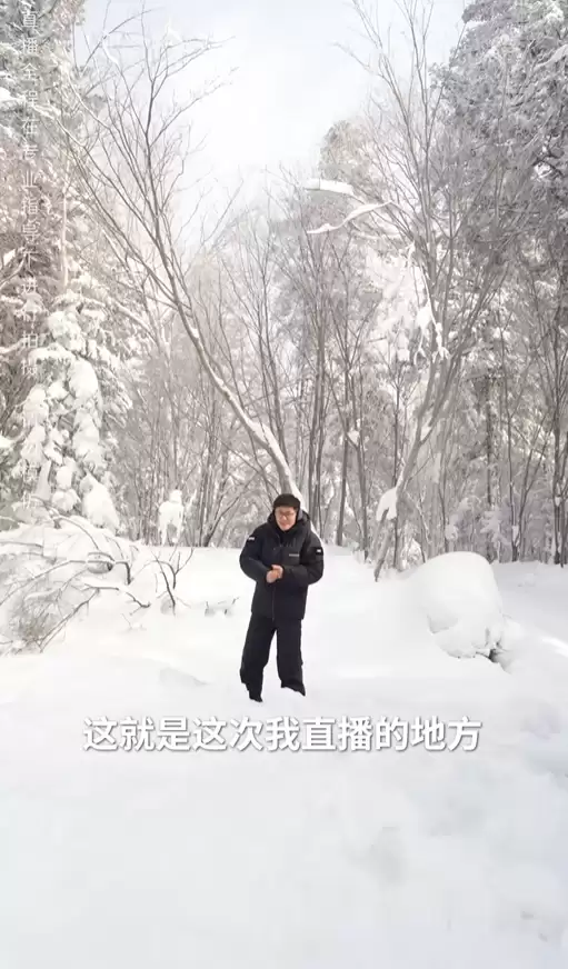 影视飓风Tim宣布挑战零下30℃雪地生存100小时直播:只带一纸一笔 物资全靠AI识图