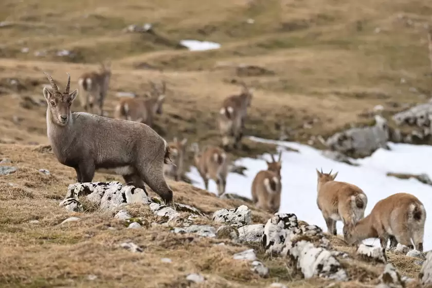 新年首程随拍：尼康让你的冬日旅途，每一帧都是壁纸