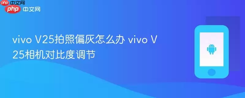 vivo V25拍照偏灰怎么办 vivo V25相机对比度调节方法