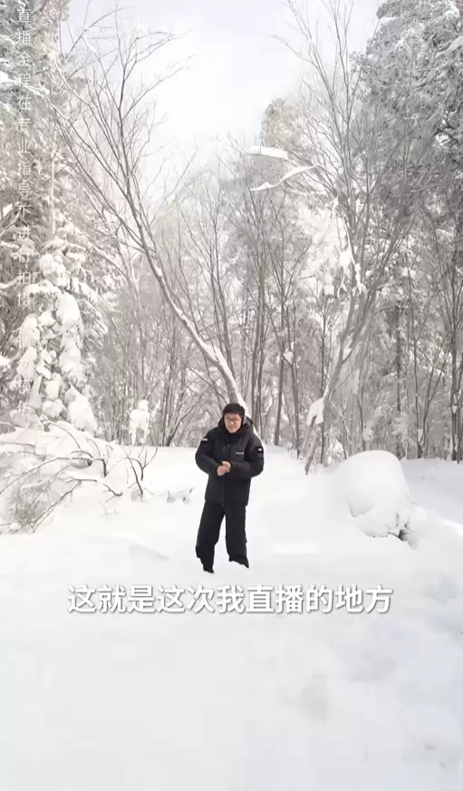 零下30℃雪原百小时极限挑战：AI识图求生