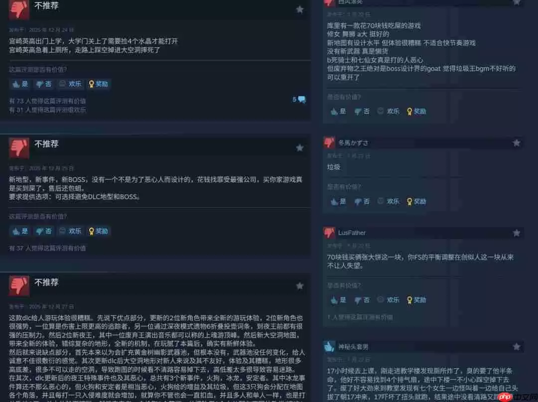 《艾尔登法环:黑夜君临》DLC Steam仍多半差评