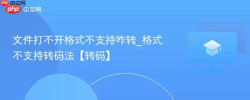 文件打不开格式不支持咋转_格式不支持转码法【转码】