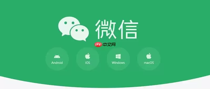 微信网页版传大文件很慢怎么办？提升文件传输速度技巧【解决】